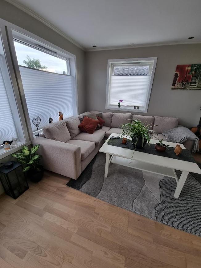 Private Guest Room In Cozy Apartment Trondheim Dış mekan fotoğraf